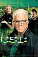 Temporada 15 - CSI: Crime Sob Investigação