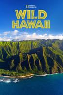 1. sezona - Wild Hawaii