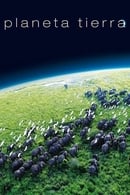 Miniseries - Planeta Tierra