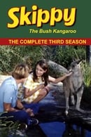Season 3 - Skippy the Bush Kangaroo
