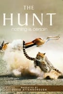 Miniseries - The Hunt