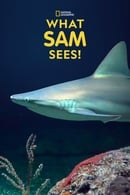 Season 1 - What Sam Sees