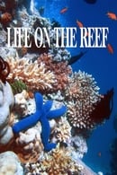 Season 1 - Life on the Reef