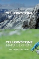 Season 1 - Epic Yellowstone