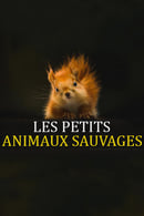 Season 1 - Les Petits Animaux Sauvages