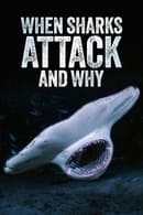 Season 1 - When Sharks Attack... and Why