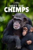 Seizoen 1 - Meet the Chimps