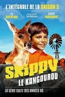 Season 3 - Skippy, le kangourou