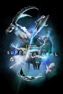 Season 1 - Super/Natural