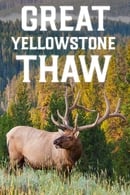 Staffel 1 - Yellowstone Nationalpark