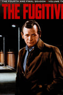 Stagione 4 - The Fugitive
