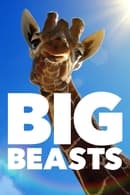 Seizoen 1 - Big Beasts