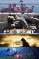 Season 1 - Mysterious Planet