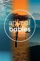Miniseries - Animal Babies