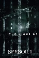 Miniseries - The Night Of