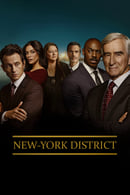 Saison 23 - New York, police judiciaire