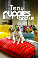 Staffel 1 - 10 Puppies and Us