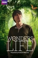 Season 1 - Maravilhas da Vida (BBC – Wonders of Life)