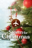 Limited Series - Різдвяна буря