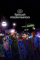 الموسم 2 - Flatbush Misdemeanors