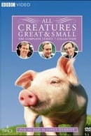Season 7 - James Herriot: All Creatures Great and Small