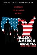 Miniseries - Black America Since MLK: And Still I Rise