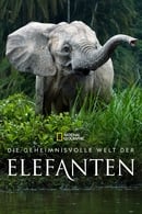 Miniseries - Die geheimnisvolle Welt der Elefanten