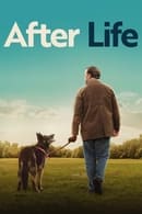 Temporada 3 - After Life
