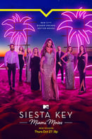 Miami Moves - Siesta Key