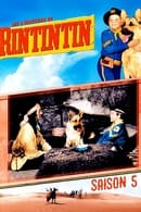 Season 5 - The Adventures of Rin Tin Tin