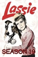 Season 19 - Lassie
