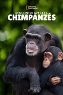 Saison 1 - Rencontre avec les Chimpanzés