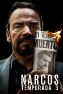 Temporada 3 - Narcos