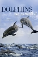 Miniseries - Dolphins: Spy in the Pod