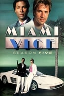 Temporada 5 - Miami Vice
