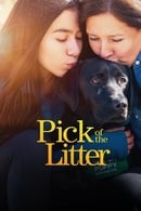 Season 1 - Pick of the Litter