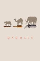 Series 1 - Mammals