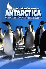 IMAX - l'Antarctique