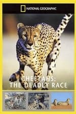 Cheetahs: The Deadly Race