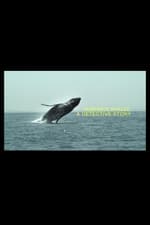 Humpback Whales: A Detective Story