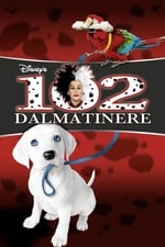102 Dalmatinere