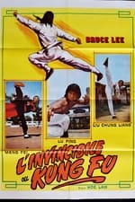 Bruce Lee l'invincibile del kung fu