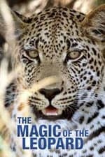 The Magic of the Leopard