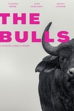 The Bulls