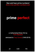 Prime Perfect (for Tony Conrad)