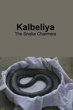 Kalbeliya - The Snake Charmers