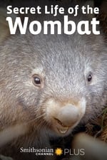 La Vida Secreta de los Wombat