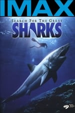 IMAX - 寻鲨记