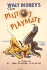 Towarzysz zabaw psa Pluto