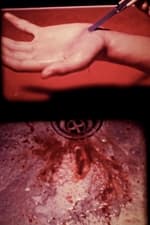 Bloody Films (Excerpts 1982-85)